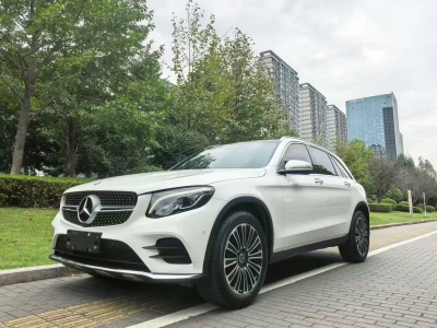 2019年1月 奔馳 奔馳GLC GLC 260 4MATIC 動(dòng)感型圖片