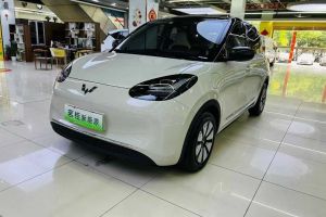 五菱繽果PLUS 五菱 330km 五座版