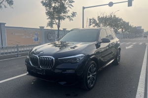 宝马X5 宝马 xDrive30i M运动套装