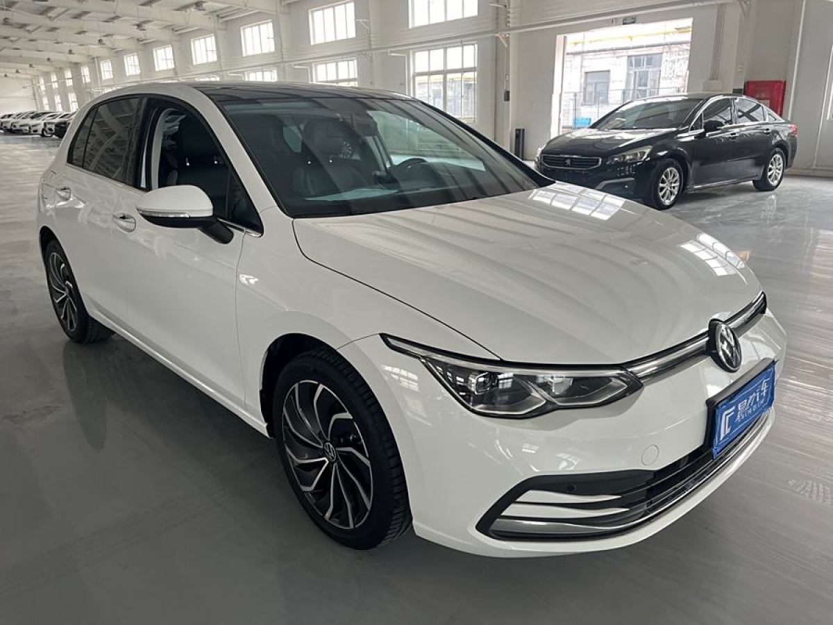 大眾 高爾夫  2021款 200TSI DSG Pro圖片