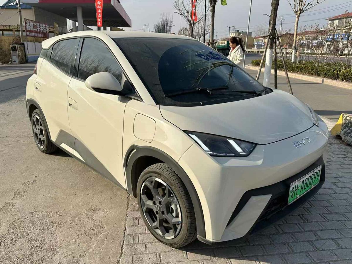 比亞迪 宋L DM-i  2024款 112km 超越型圖片