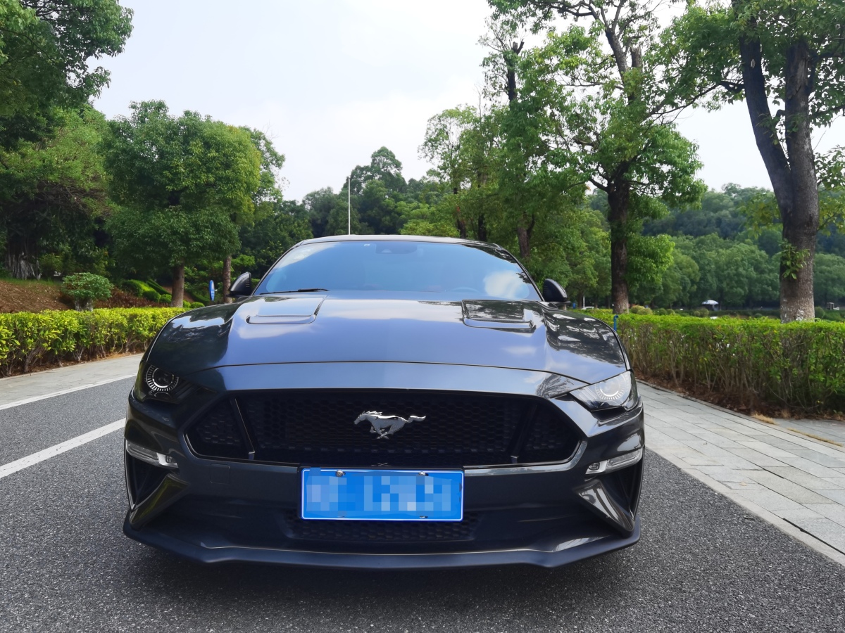 福特 mustang 2018款 5.0l v8 gt圖片