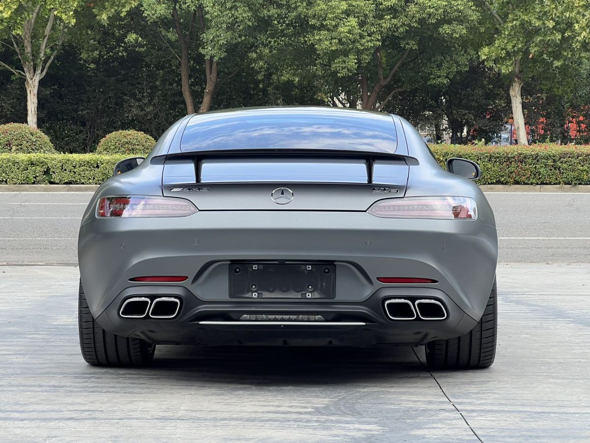 奔馳 奔馳AMG GT  2019款 AMG GT S圖片