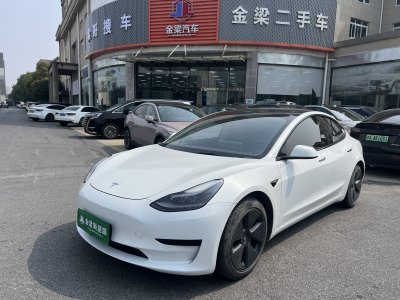 2021年6月 特斯拉 Model 3 標(biāo)準(zhǔn)續(xù)航后驅(qū)升級版 3D6圖片