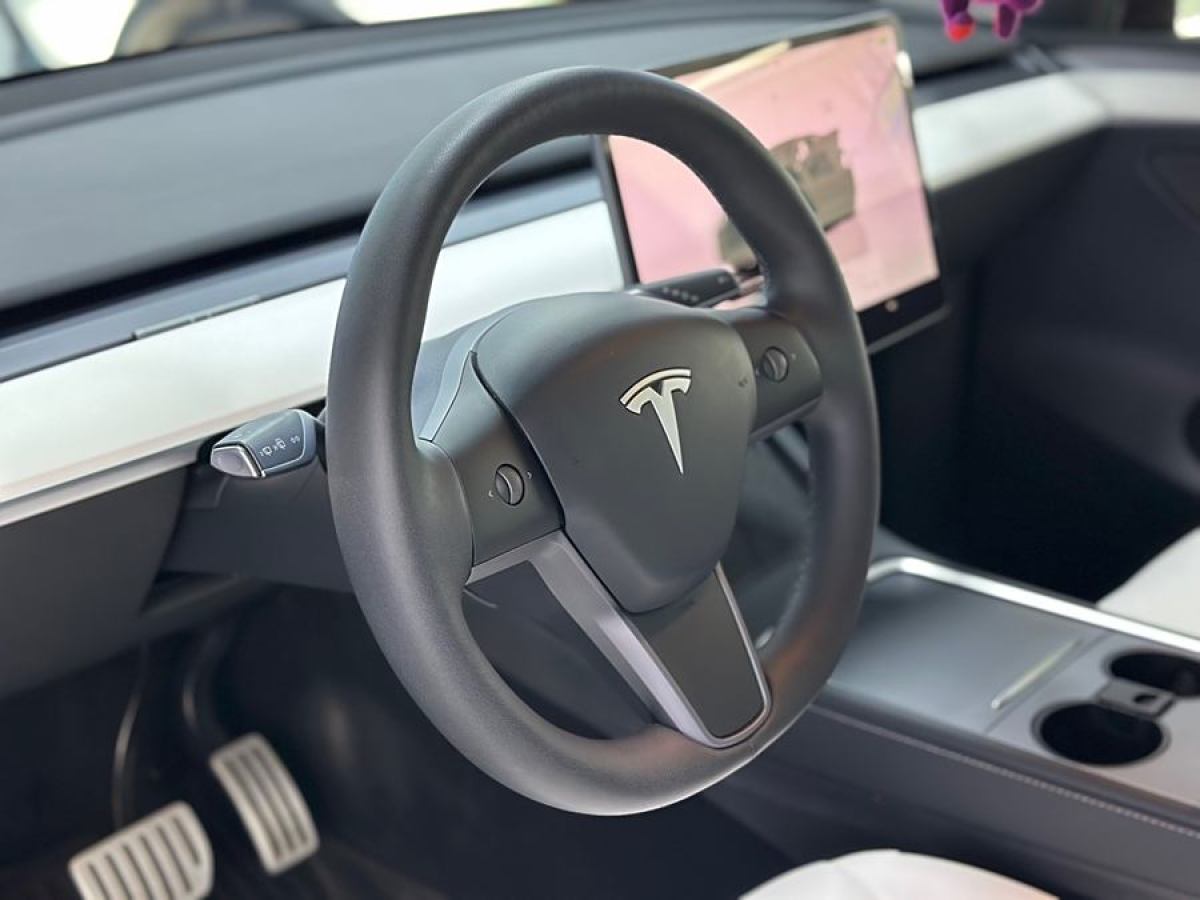 特斯拉 Model Y  2022款 Performance高性能全輪驅(qū)動版圖片