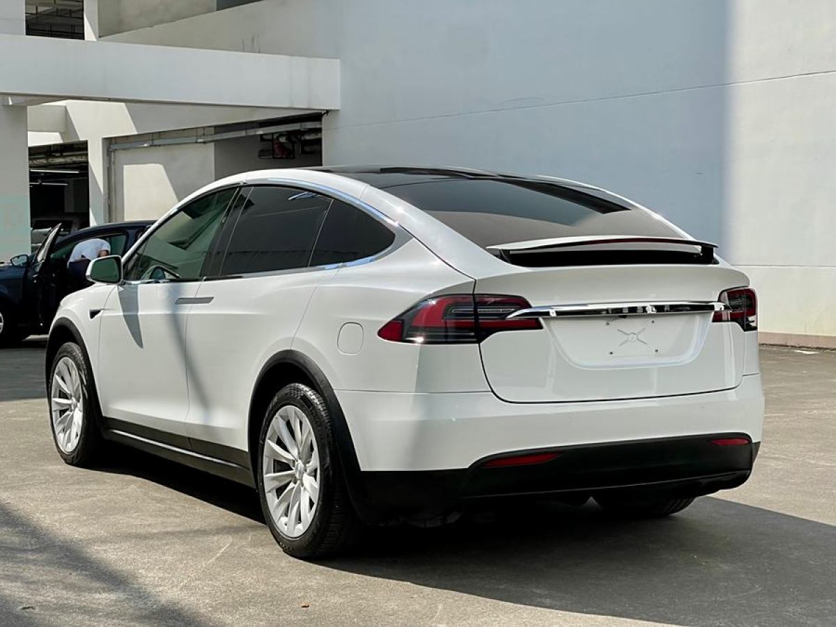 特斯拉 Model X  2019款 長續(xù)航版圖片