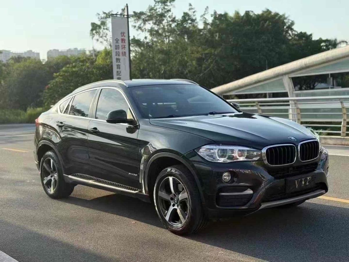 寶馬 寶馬X6  2017款 xDrive35i 領(lǐng)先型圖片