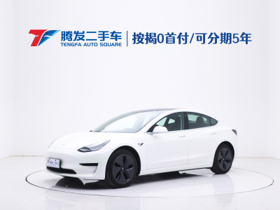 2020年2月 特斯拉 Model 3 標(biāo)準(zhǔn)續(xù)航后驅(qū)升級版圖片