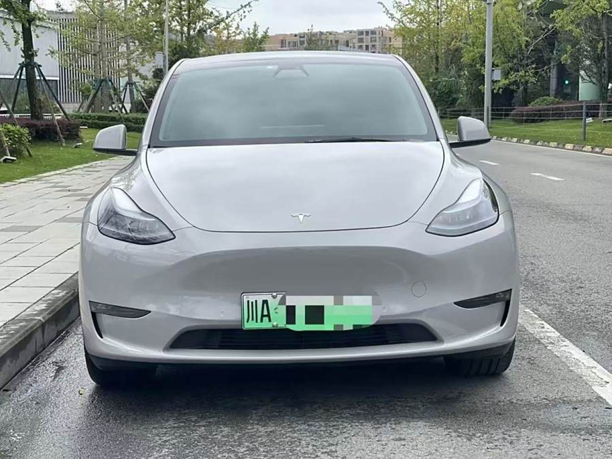 特斯拉 Model 3  2022款 改款 長(zhǎng)續(xù)航全輪驅(qū)動(dòng)版圖片