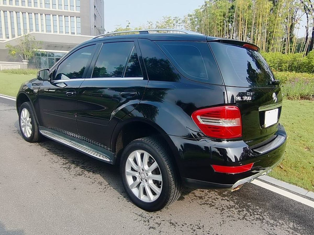 奔馳 奔馳M級(jí)  2010款 ML 350 4MATIC豪華型特別版圖片