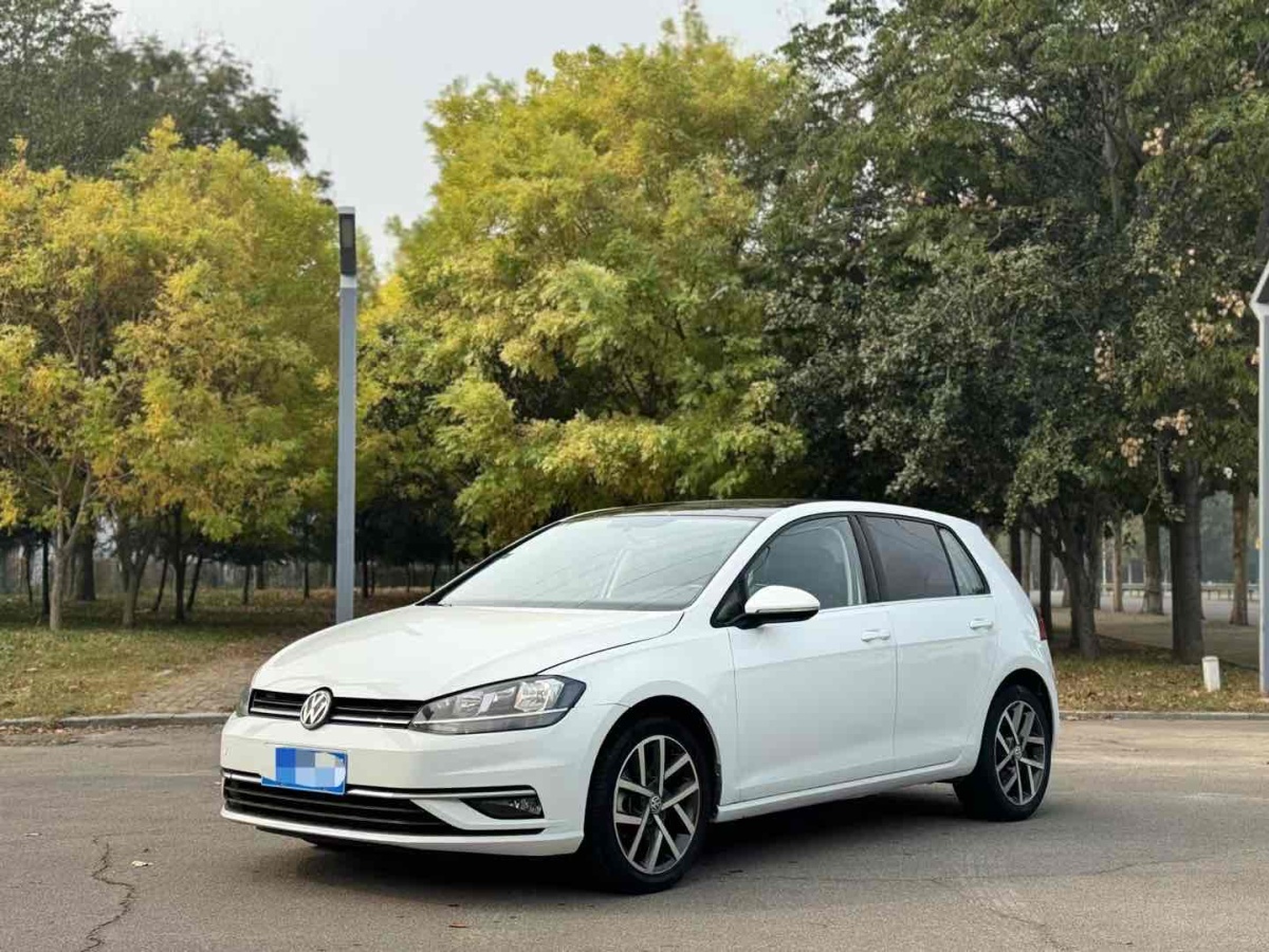 大眾 高爾夫  2019款  200TSI DSG舒適型 國(guó)VI圖片