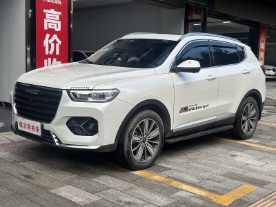 2024年9月 哈弗 H6 1.5GDIT 自动铂金冠军版图片