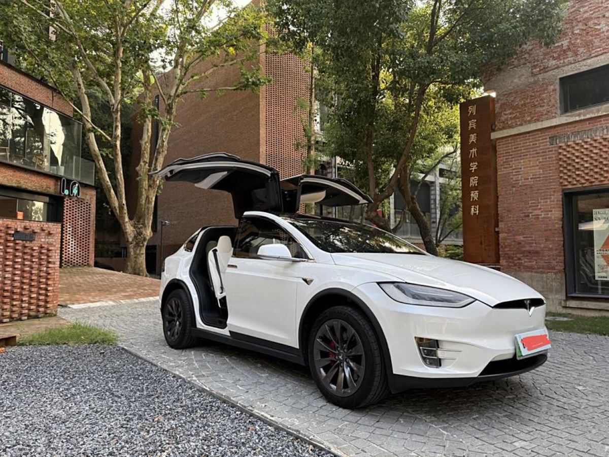 2019年7月特斯拉 Model X  2016款 Model X P100D Performance高性能版