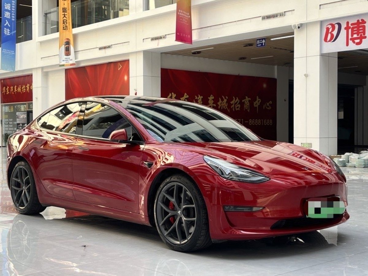 特斯拉 Model 3  2019款 Performance高性能全輪驅動版圖片