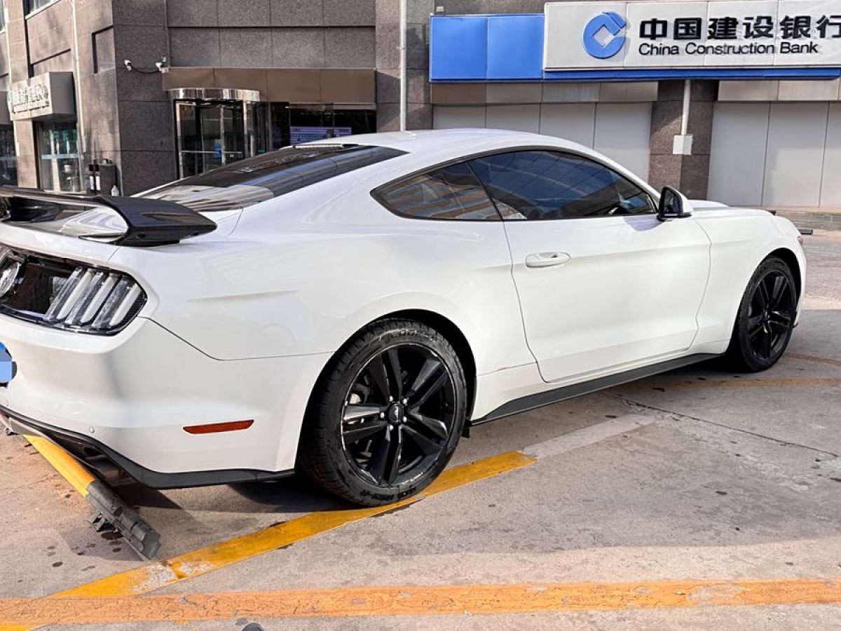 福特 Mustang  2016款 2.3T 運動版圖片