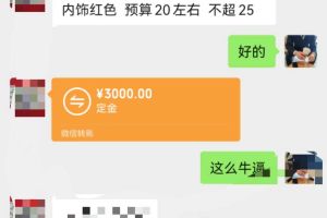 寶馬5系 寶馬 525Li 豪華套裝