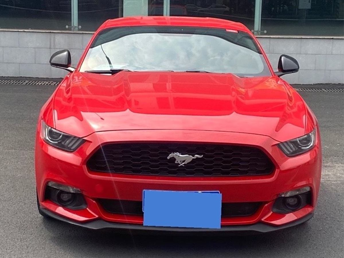 福特 Mustang  2015款 2.3T 性能版圖片