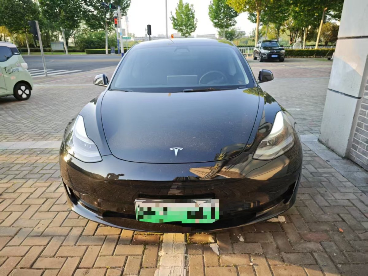 特斯拉 Model 3  2022款 后輪驅(qū)動(dòng)版圖片