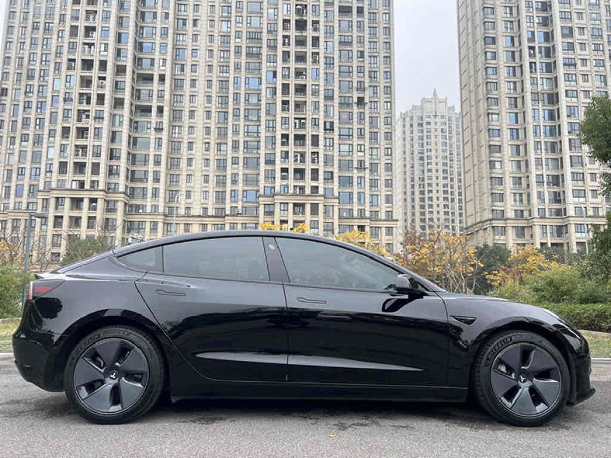 特斯拉 Model 3  2021款 標(biāo)準(zhǔn)續(xù)航后驅(qū)升級版 3D6圖片