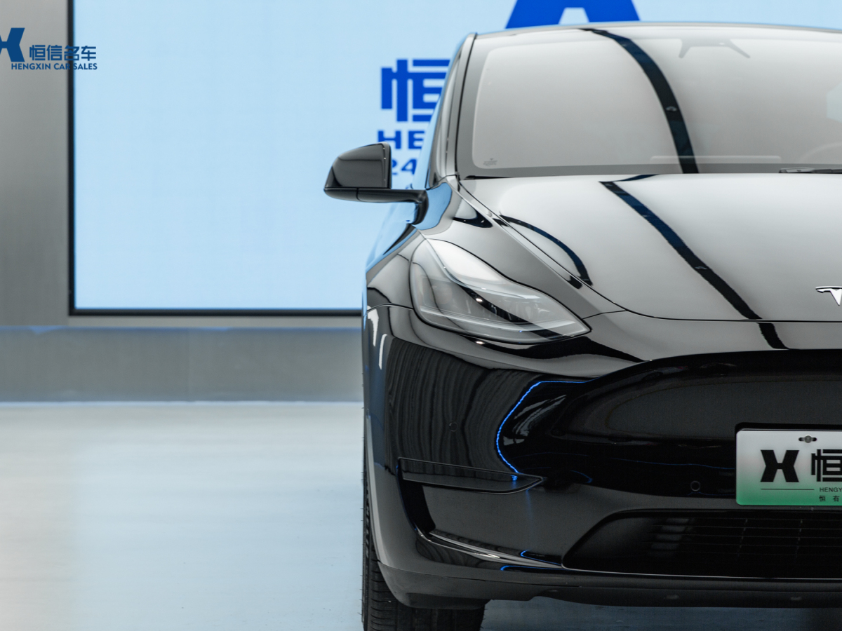 特斯拉 Model Y  2020款 改款 長續(xù)航后輪驅(qū)動(dòng)版圖片