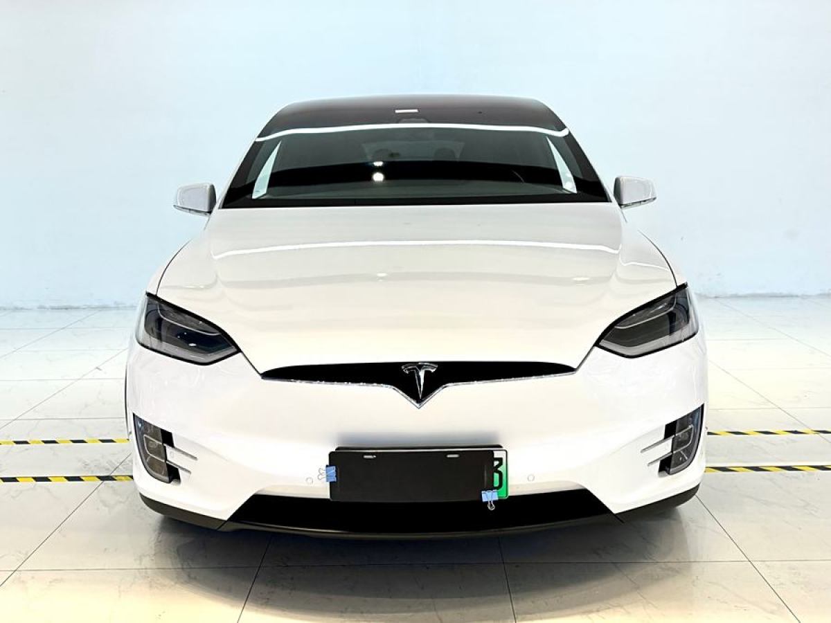 特斯拉 Model X  2016款 Model X 75D圖片