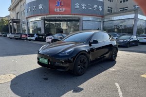 Model Y 特斯拉 长续航焕新版 双电机全轮驱动