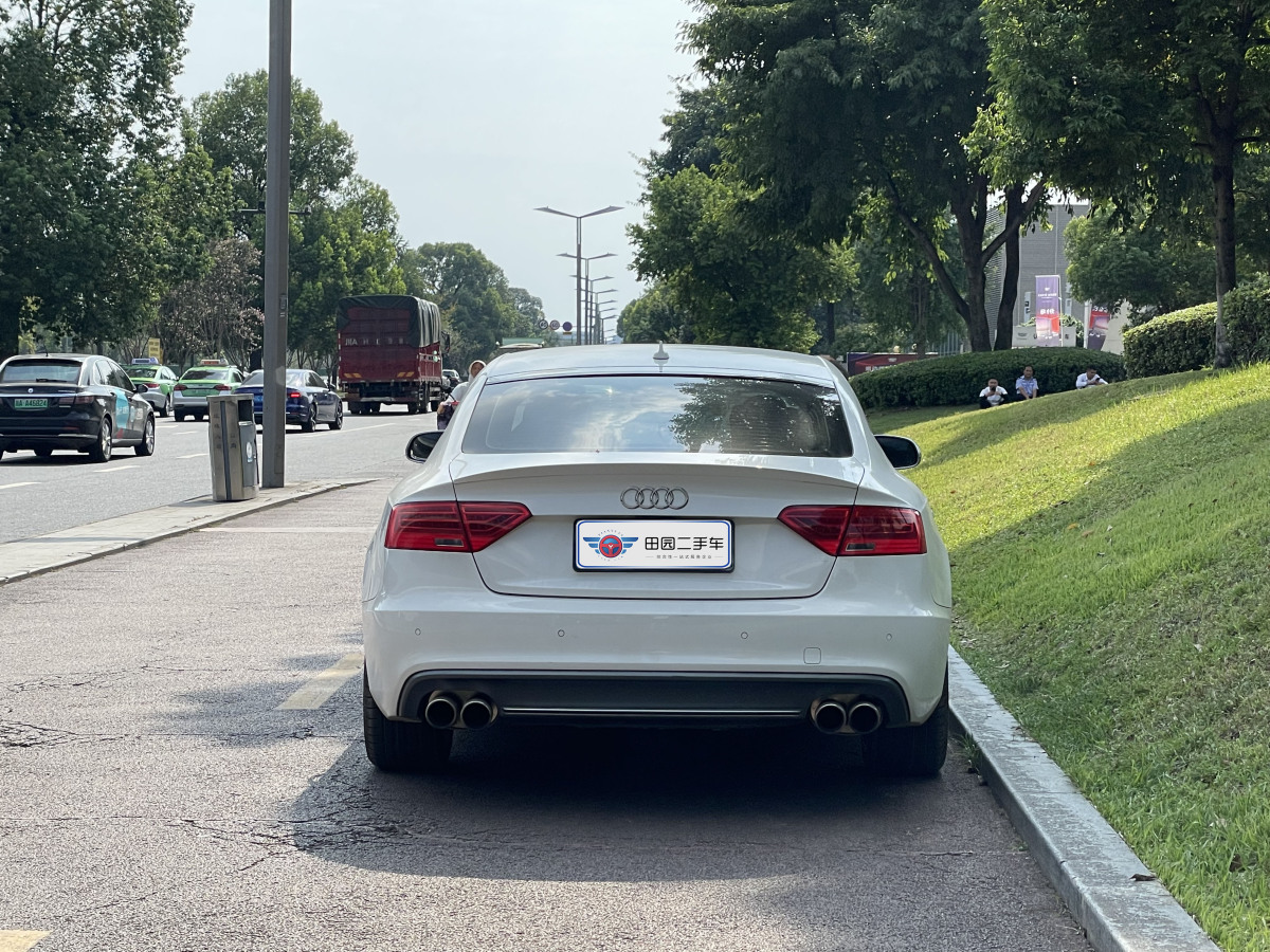 奧迪 奧迪S5  2016款 S5 3.0T Sportback圖片