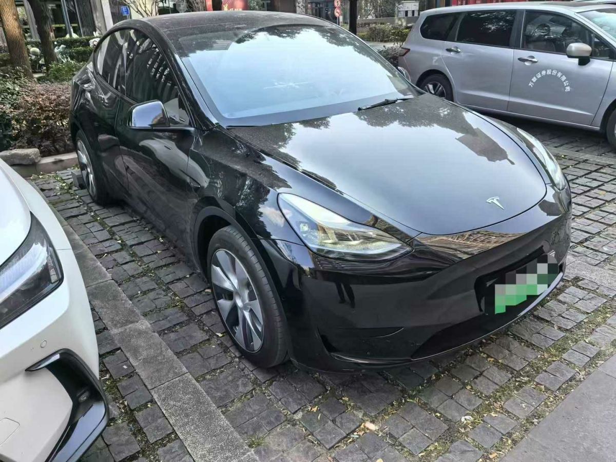 特斯拉 Model S  2023款 三電機全輪驅(qū)動 Plaid版圖片