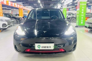 Model 3 特斯拉 后轮驱动版