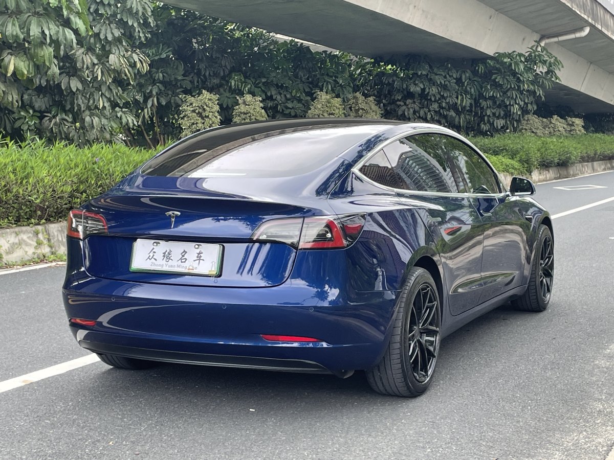 2019年4月特斯拉 Model 3  2019款 長續(xù)航后驅(qū)版
