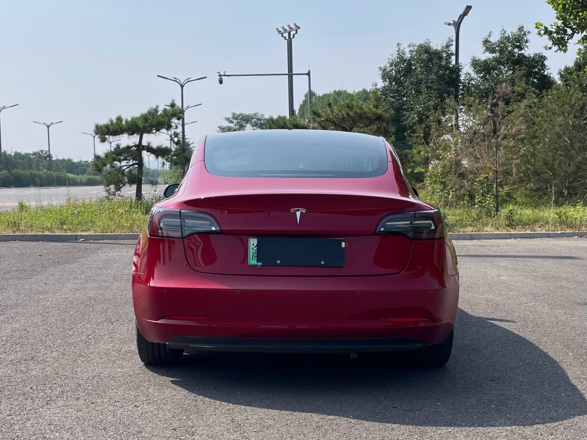 特斯拉 Model 3  2019款 长续航后驱版图片