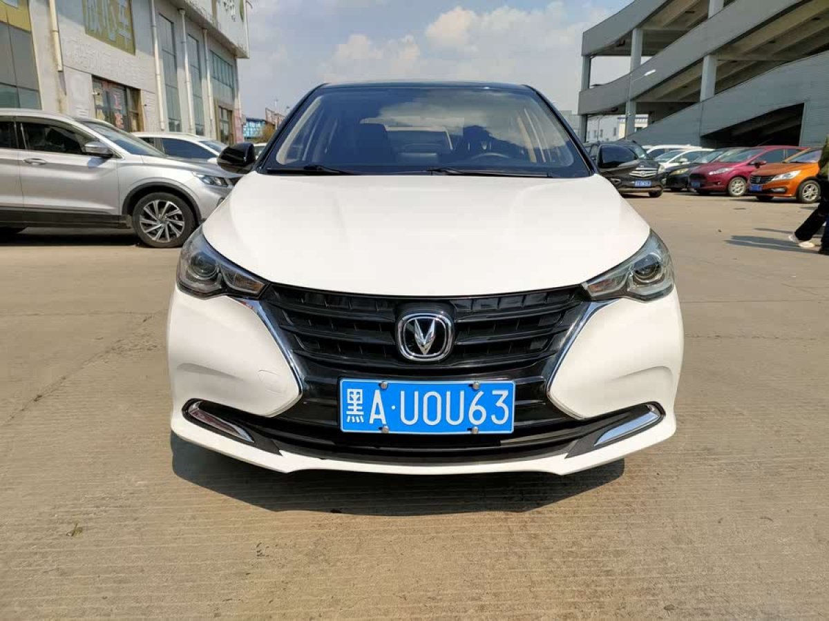 長安 悅翔  2019款  1.4L 手動舒適型 國VI圖片
