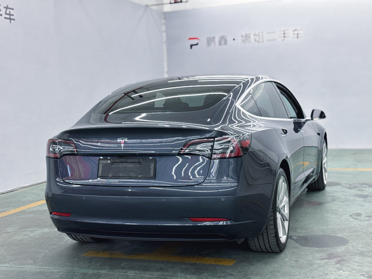 特斯拉 Model 3  2019款 標(biāo)準(zhǔn)續(xù)航后驅(qū)升級版圖片