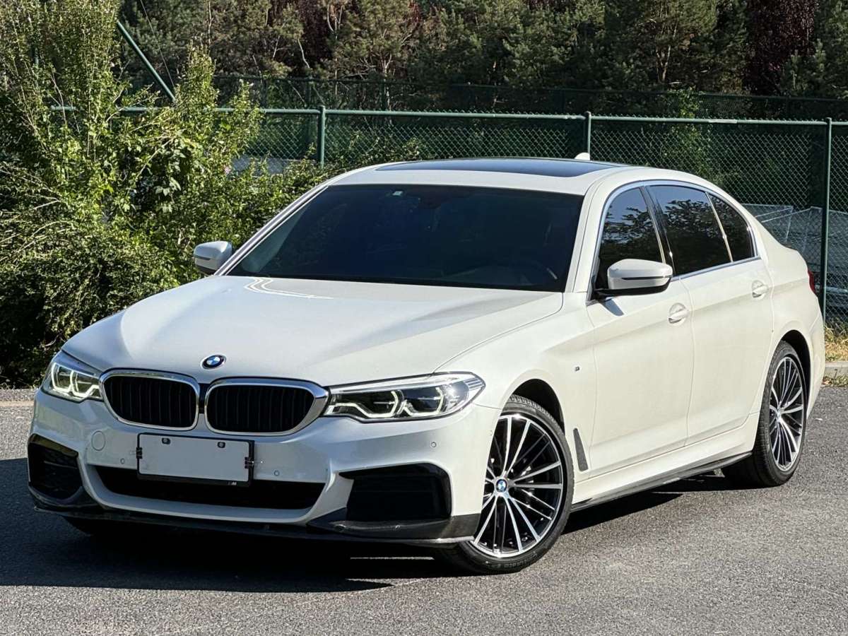 宝马 宝马5系  2020款 530Li xDrive 豪华套装图片