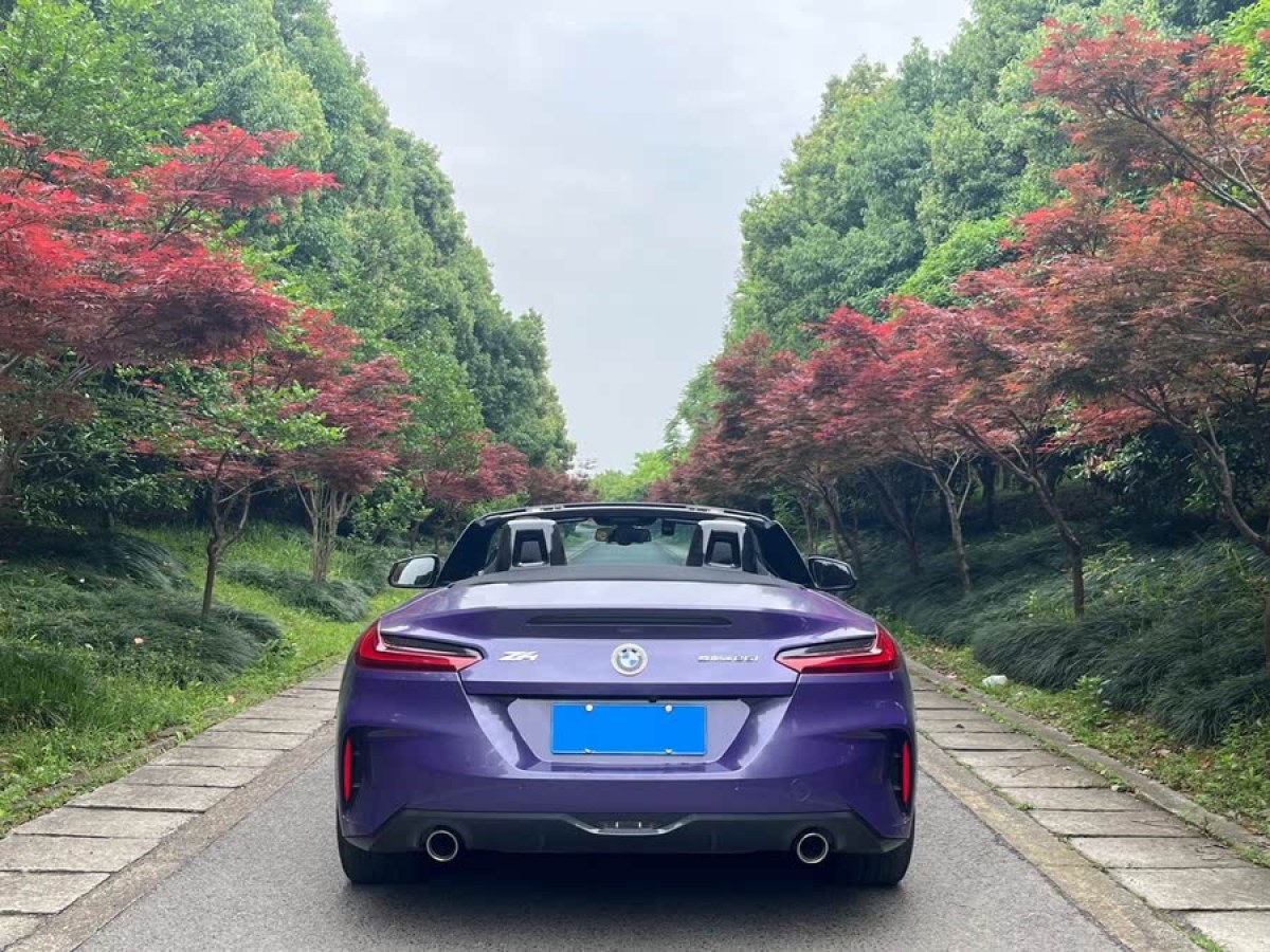 寶馬 寶馬Z4  2020款 sDrive 25i 銀霜限量版圖片