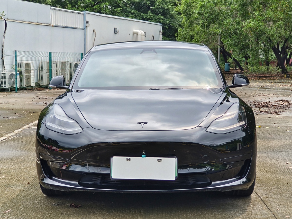 特斯拉 Model 3  2019款 標(biāo)準(zhǔn)續(xù)航后驅(qū)升級(jí)版圖片