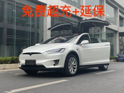 2020年1月 特斯拉 Model X 長(zhǎng)續(xù)航版圖片