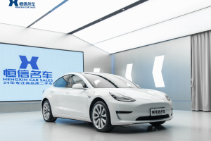 Model 3 特斯拉 標(biāo)準(zhǔn)續(xù)航后驅(qū)升級(jí)版