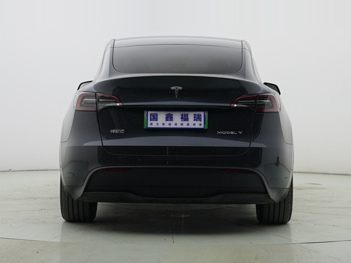 特斯拉 Model Y  2020款 改款 長續(xù)航后輪驅(qū)動版圖片