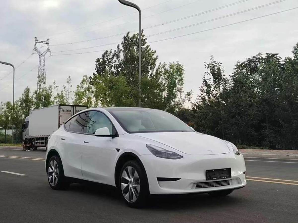 2022年11月特斯拉 Model 3  2022款 后輪驅(qū)動版