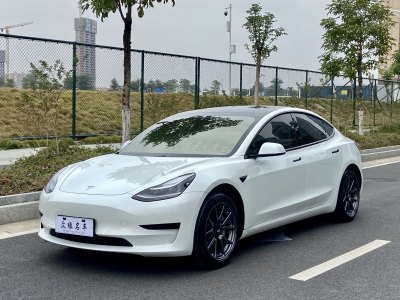 2020年5月 特斯拉 Model 3 标准续航后驱升级版图片