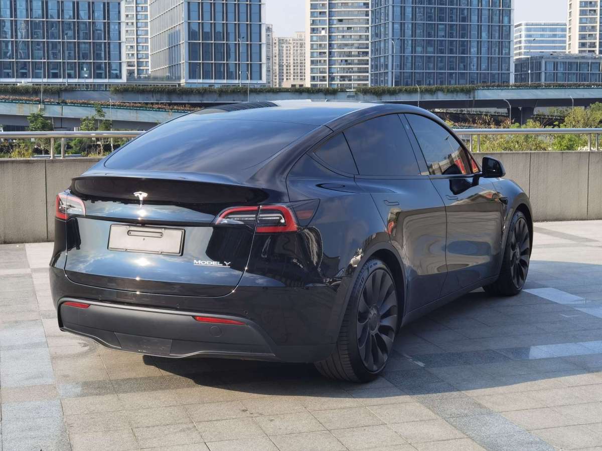 特斯拉 Model Y  2022款 Performance高性能全輪驅(qū)動版圖片