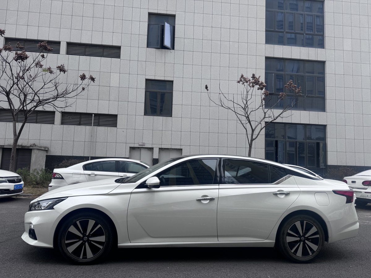 日產(chǎn) 天籟  2020款 改款 2.0L XL 舒適版圖片