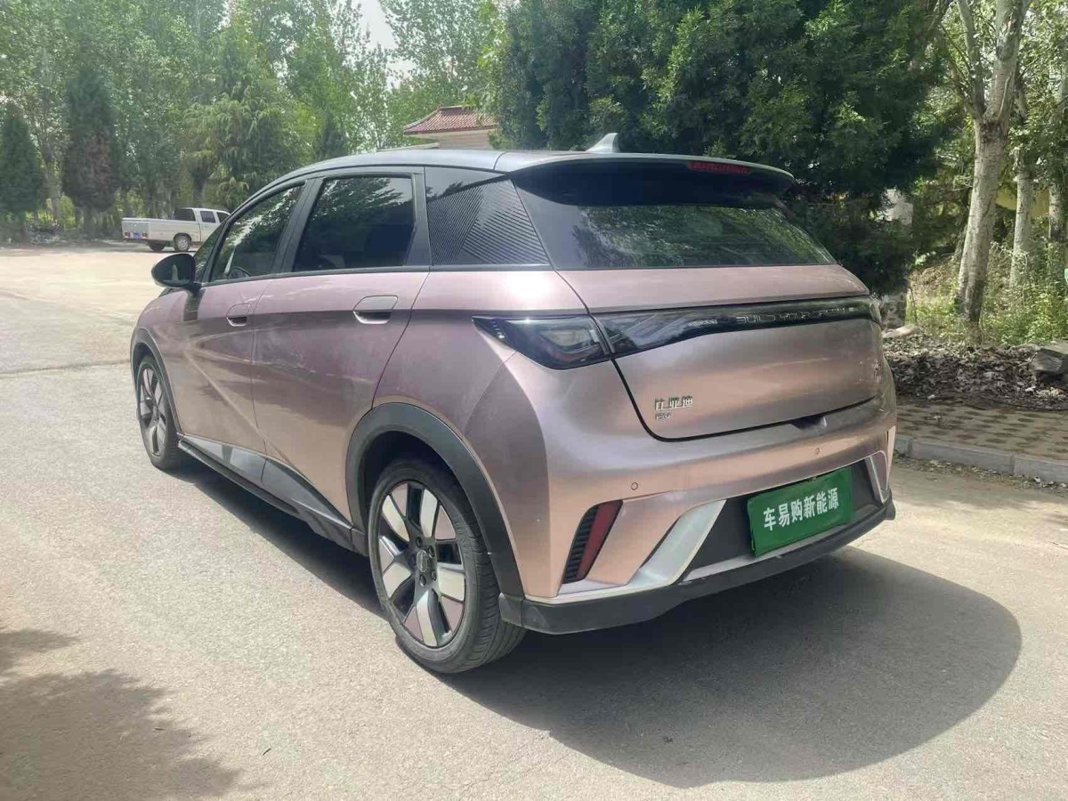 比亞迪 海豚  2021款 401km 騎士版圖片