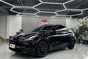 Model 3 特斯拉 Performance高性能全輪驅(qū)動(dòng)版