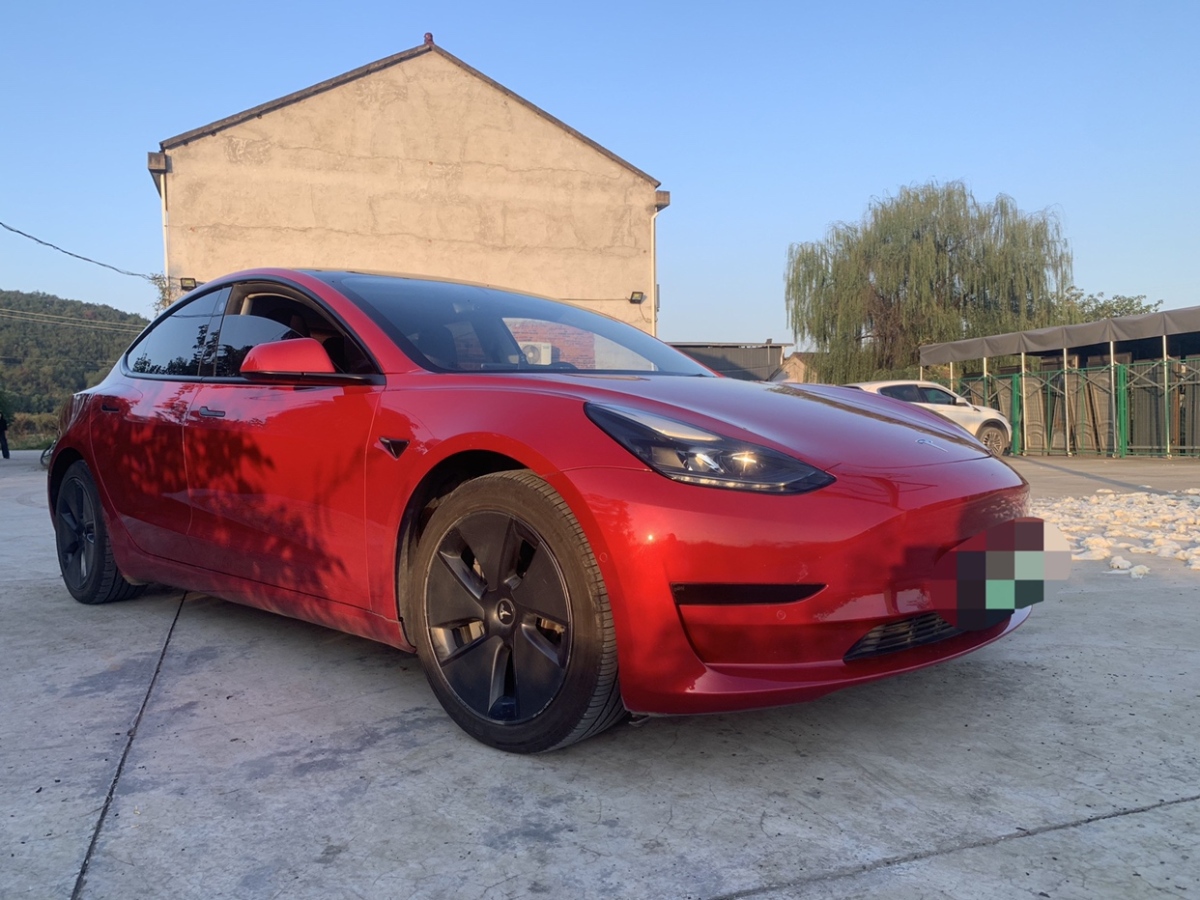 特斯拉 Model Y  2021款 標(biāo)準(zhǔn)續(xù)航后驅(qū)升級(jí)版圖片