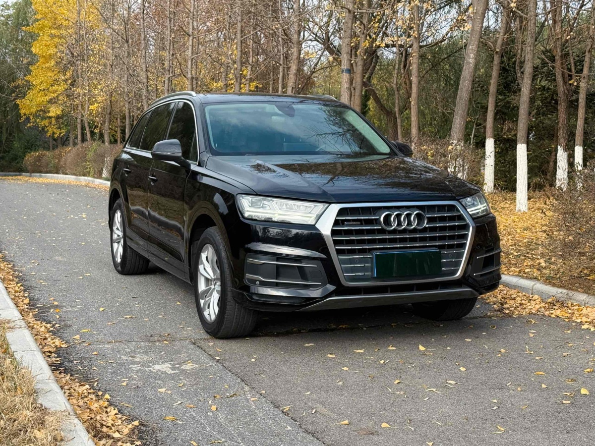 奧迪 奧迪Q7  2018款 45 TFSI 技術(shù)型圖片