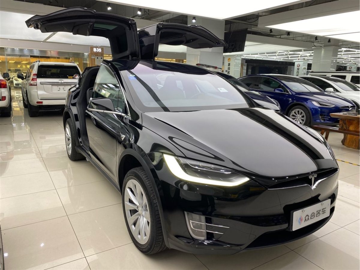 【杭州】2019年08月 特斯拉 model x 2016款 model x 75d 自动档