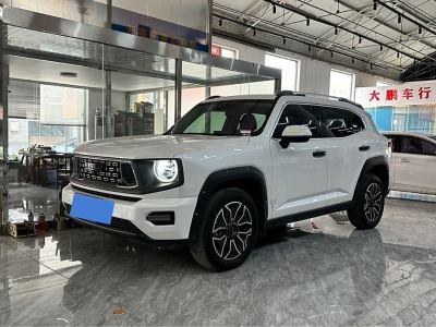 2023年3月 哈弗 哈弗二代大狗新能源 DHT-PHEV 105km 潮電版Plus圖片