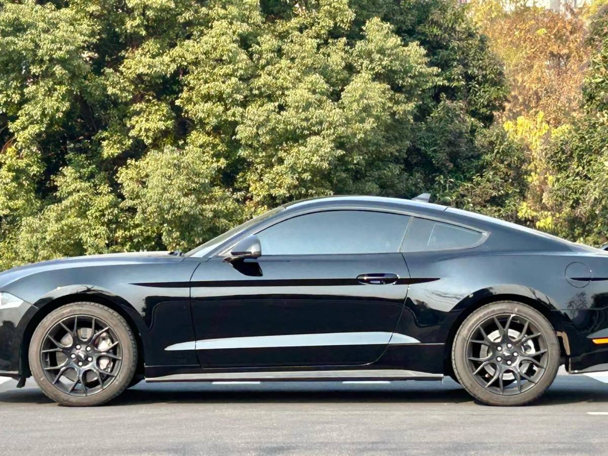 福特 Mustang  2021款 2.3L EcoBoost圖片